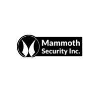 Mammoth Security Inc. Norwalk