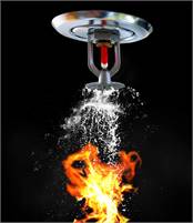Professional Fire Protection LLC Professional Fire Protection LLC